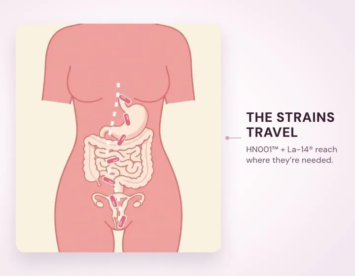 Step 2 — the strains travel to where they are needed